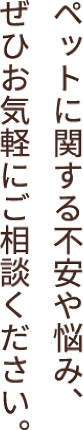 ペットに関する不安や悩み、ぜひお気軽にご相談ください。